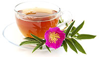 Rose Hip Tea